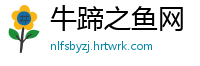 牛蹄之鱼网